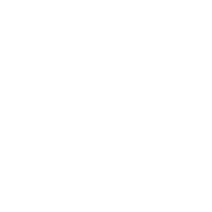 logo300px
